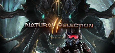 Natural Selection 2 játékszerver